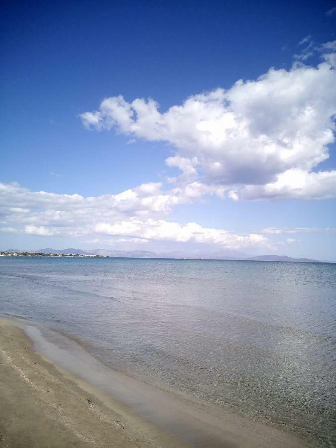 Seven Seas Apartments Artemida  Dış mekan fotoğraf
